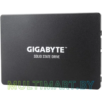 SSD диск Gigabyte 1TB (GP-GSTFS31100TNTD)